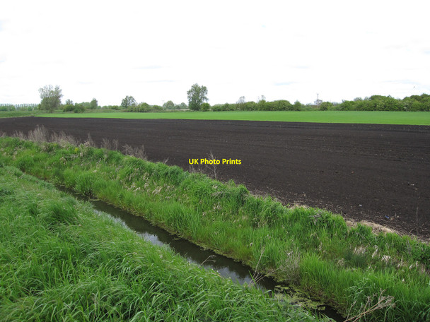 Photo 6"x4" Field by the River Lark West Row c2010