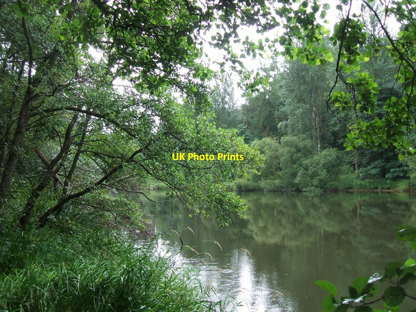 Photo 6"x4" River Clyde near New Lanark Lanark c2010