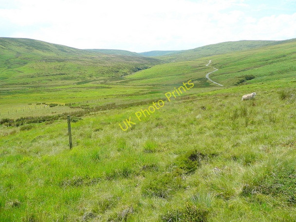 Photo 6"x4" Waun y Gadfa Eunant Fawr c2009