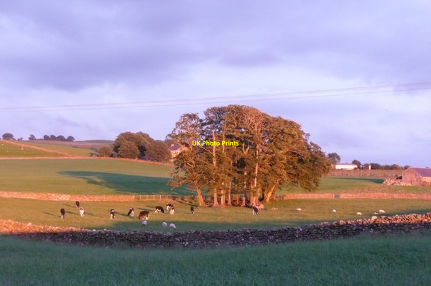 Photo 6"x4" Sunset scene, Austwick Lawkland c2010