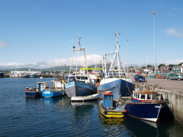 Photo 6"x4" Dingle Harbour Dingle\/Q4400 c2007
