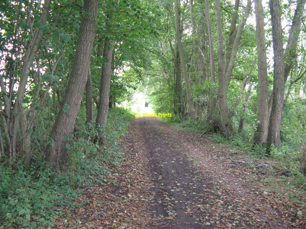 Photo 6"x4" The dismantled Midhurst to Pulborough railway Coldwaltham c2010