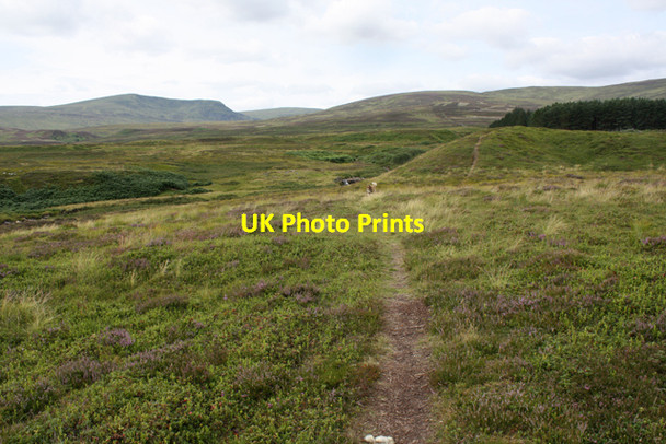 Photo 6"x4" Footpath north of Strone Strone\/NH7100 c2010