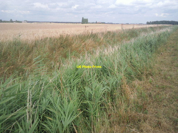 Photo 6"x4" Looking across Conington Fen Holme\/TL1987 c2010