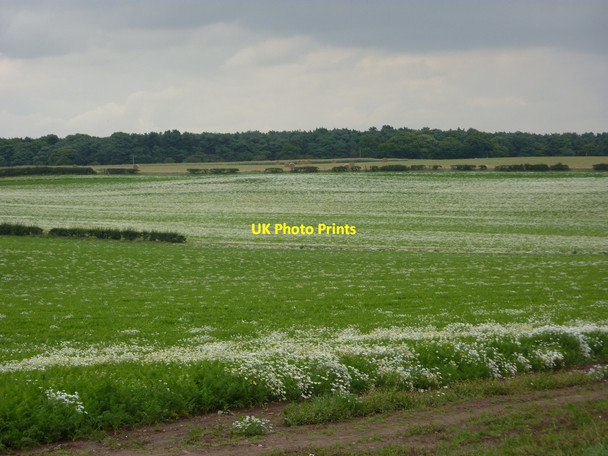 Photo 6"x4" Arable farmland east of Worksop Worksop c2010