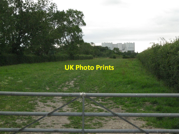 Photo 6"x4" Field opposite Nupdown Road Shepperdine c2010