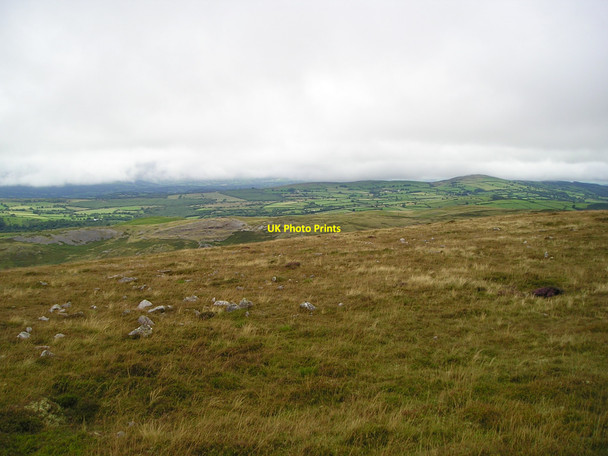 Photo 6"x4" Limestone upland Twynmynydd c2010