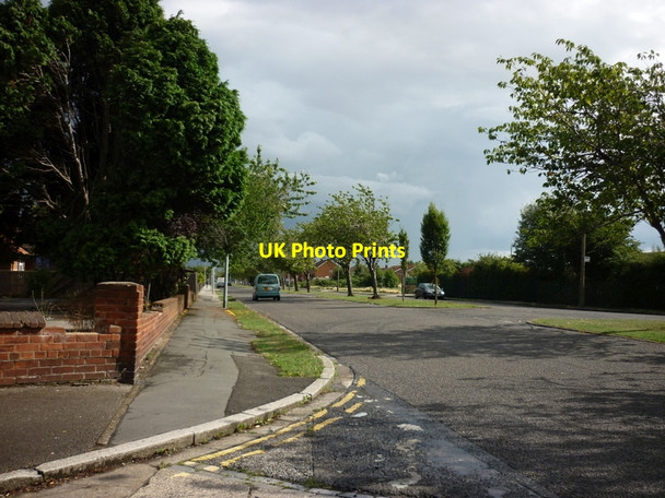 Photo 6"x4" Grange Road, East Hull Neat Marsh c2010