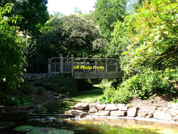 Photo 6"x4" Belle Vue Park Bridge Newport\/Casnewydd c2010