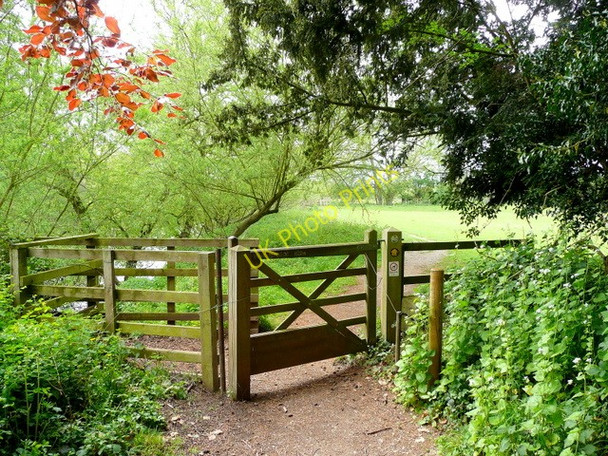 Photo 6"x4" Wye Valley Walk at Dixton Monmouth\/Trefynwy c2009