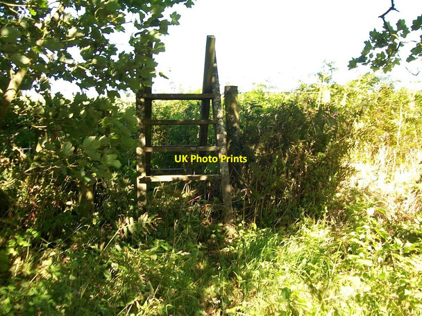 Photo 6"x4" The stile from the fields into the Coed Caerdydd woodland Penllech\/SH2234 c2010