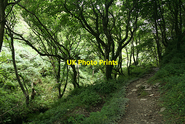 Photo 6"x4" Tintagel: near Trewethet Mill Trethevy\/SX0789 c2010