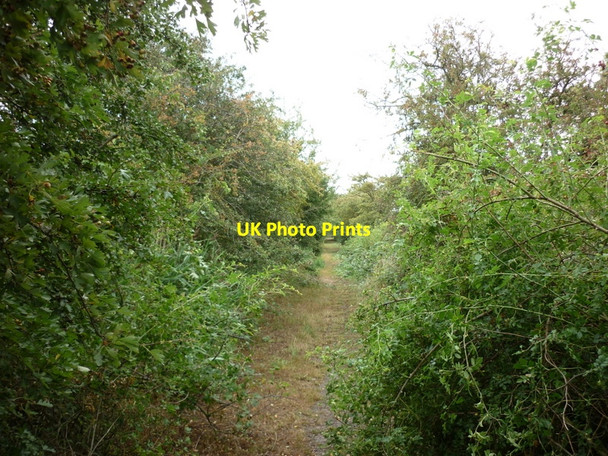 Photo 6"x4" Walking alongside the cement works on left South Ferriby c2010
