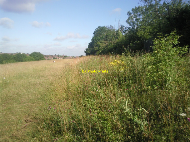 Photo 6"x4" Sidcup Road Grassland Eltham c2010