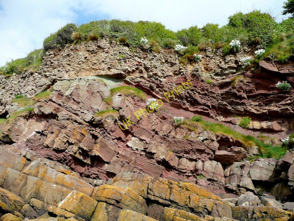 Photo 6"x4" Sandstone cliff at Portishead Redcliffe Bay c2009