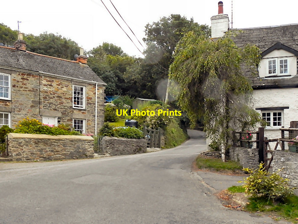 Photo 6"x4" The Brambles, Cocks Cocks c2010