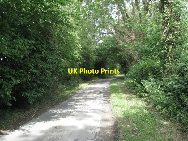 Photo 6"x4" Longbrook Lane Fen End\/SP2275 c2010
