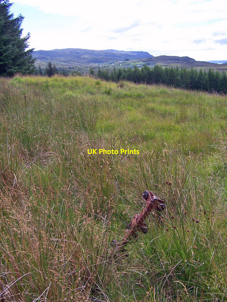 Photo 6"x4" Fencepost in forest clearing Drumfearn\/Druim Fhearna c2010