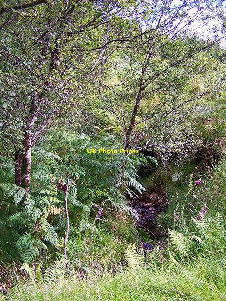 Photo 6"x4" Allt Loch an Sg\u00c3\u00b2ir Drumfearn\/Druim Fhearna c2010
