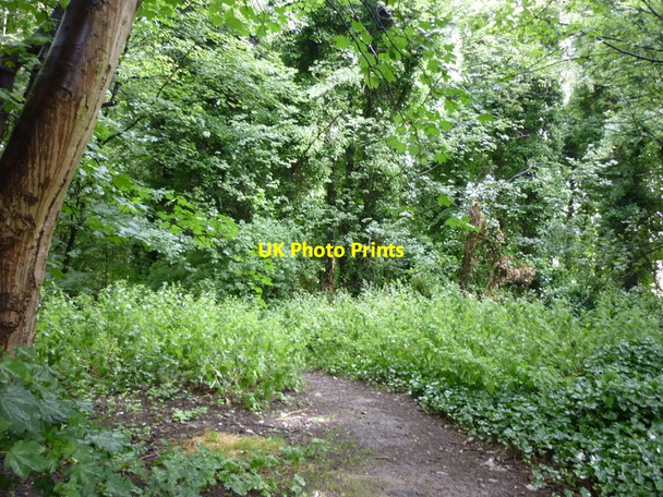 Photo 6"x4" A walk from Oulton Church #29 Austhorpe c2010