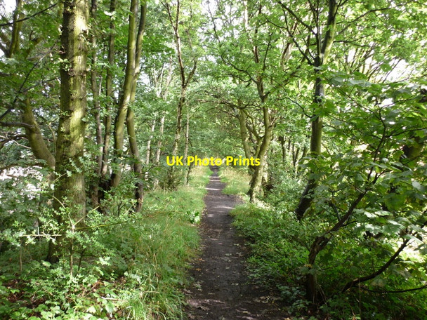 Photo 6"x4" A walk from Oulton Church #30 Austhorpe c2010