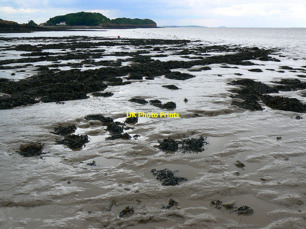 Photo 6"x4" Bristol Channel mud and seaweed, Clevedon Clevedon c2010