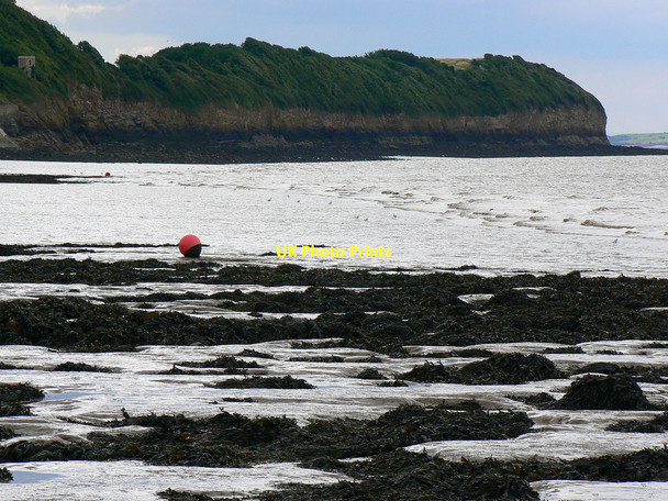 Photo 6"x4" Bristol Channel seaweed and mud, Clevedon Clevedon c2010