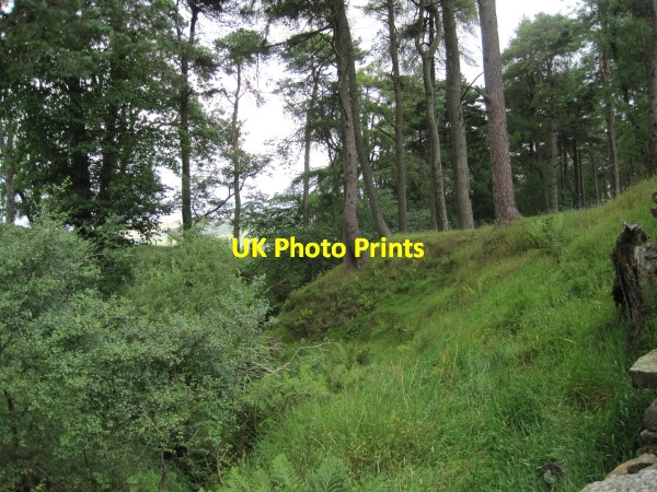 Photo 6"x4" Red Sike near Smallburns Carrsheild c2010