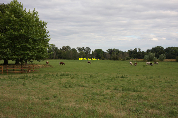 Photo 6"x4" Christ Church Meadows Oxford\/SP5106 c2010