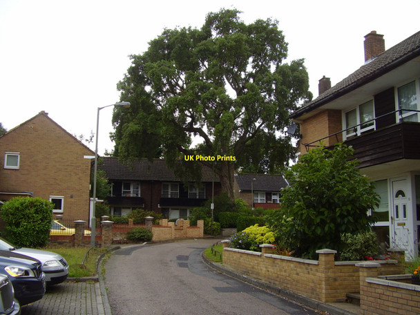 Photo 6"x4" Littlecote Close Putney c2010