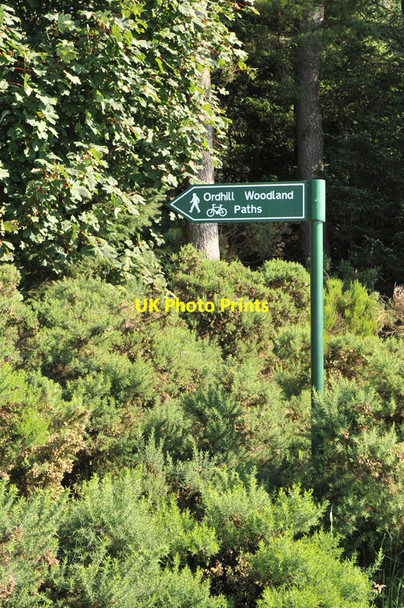 Photo 6"x4" Signpost for woodland paths at Ordhill Culcharry c2010
