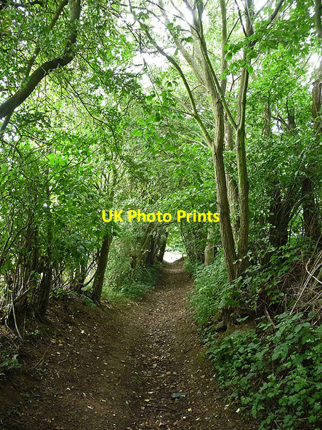 Photo 6"x4" Byway near Fickleshole Fickleshole c2010