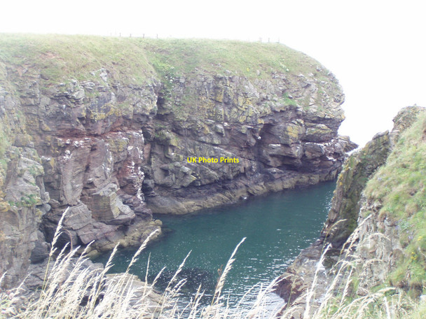 Photo 6"x4" Cliff nesting sites Balnagask c2010