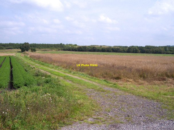 Photo 6"x4" Farm track to Holiday Moss Rainford c2010