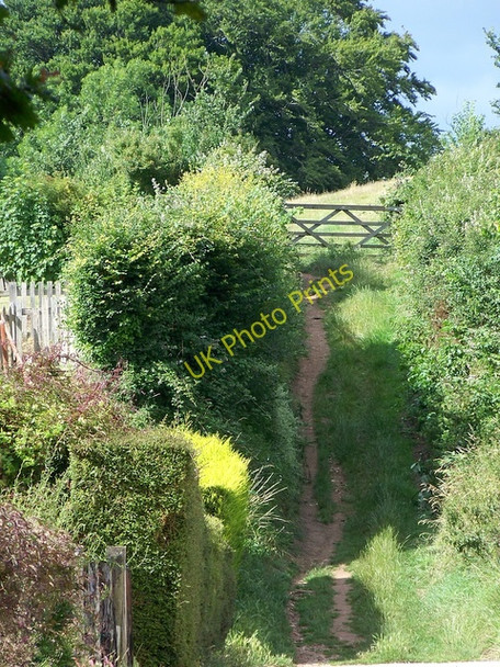 Photo 6"x4" Footpath, Otterton North Star c2009