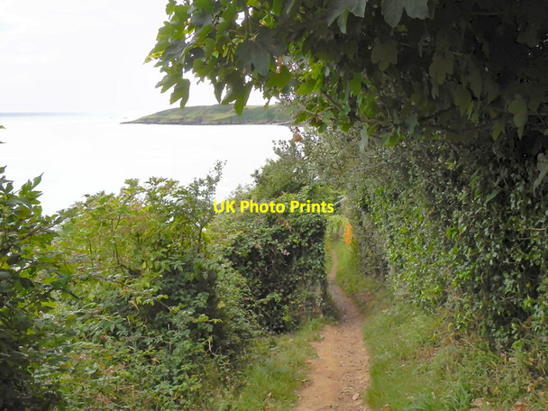 Photo 6"x4" Cliff Path Maenporth to Mawnan Maenporth c2010