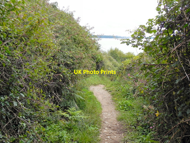 Photo 6"x4" Cliff Path Mawnan to Maenporth. Maenporth c2010