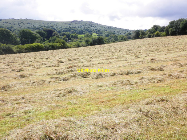 Photo 6"x4" Hay field, near Manaton Manaton c2010