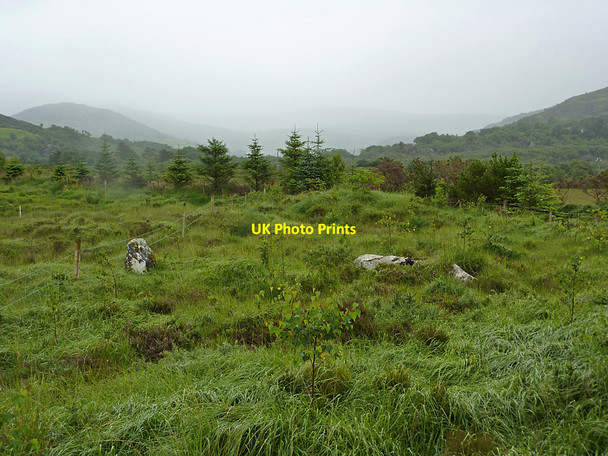 Photo 6"x4" Misty day, Gortnagappul Bunane c2010