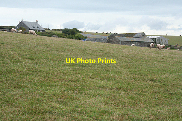 Photo 6"x4" Wembury: towards New Barton Farm Wembury c2010