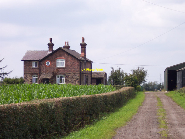 Photo 6"x4" Brown Birch farm from the coach road Rainford c2010