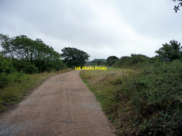 Photo 6"x4" Footpath, Shalfleet, Isle of Wight Newtown\/SZ4290 c2010
