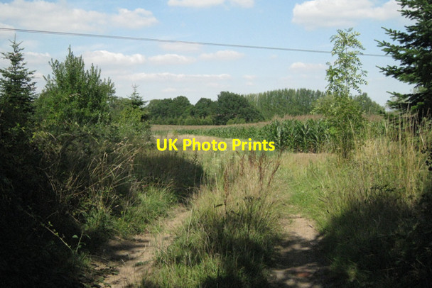 Photo 6"x4" View down a farm track Barston c2010