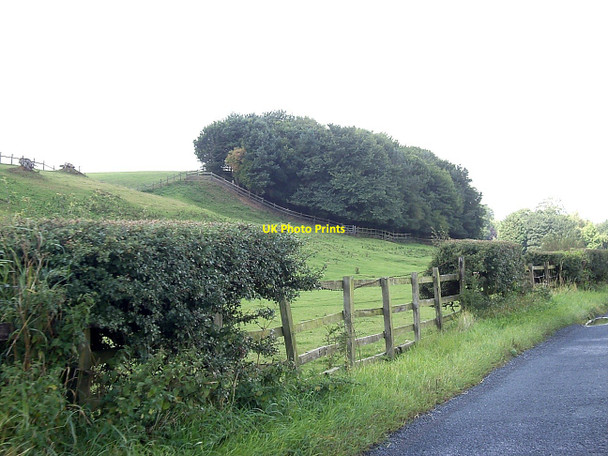 Photo 6"x4" A hillside copse, near Cleasby Cleasby c2010