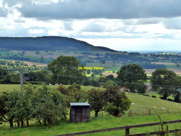 Photo 6"x4" Shed in Field by Ruebury Lane, Osmotherley Osmotherley c2010