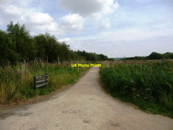 Photo 6"x4" Path to the eastern bird hides Blacktoft c2010