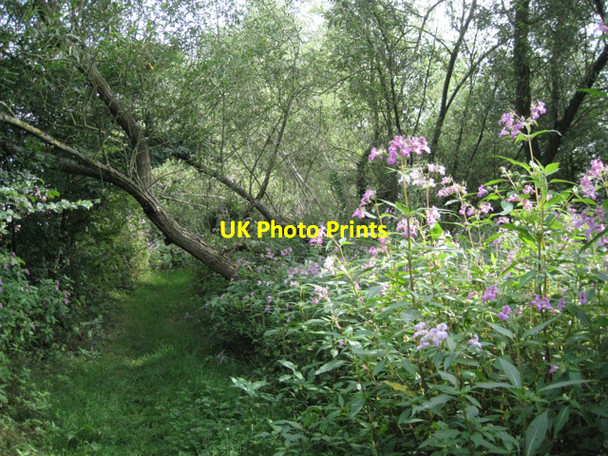 Photo 6"x4" Footpath by the River Blythe Barston c2010