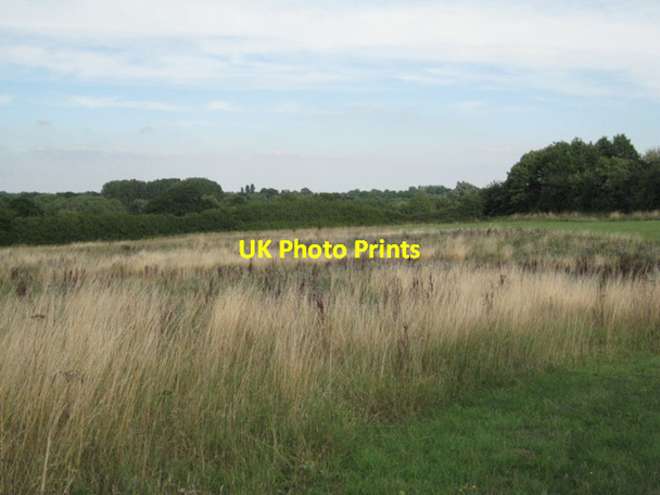 Photo 6"x4" A field north of Barston Park Barston c2010
