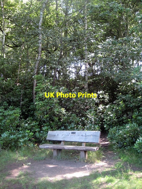 Photo 6"x4" Newmillerdam Country Park-Memorial seat Newmillerdam c2010