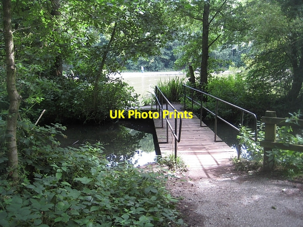 Photo 6"x4" Newmillerdam Country Park-Footbridge Newmillerdam c2010